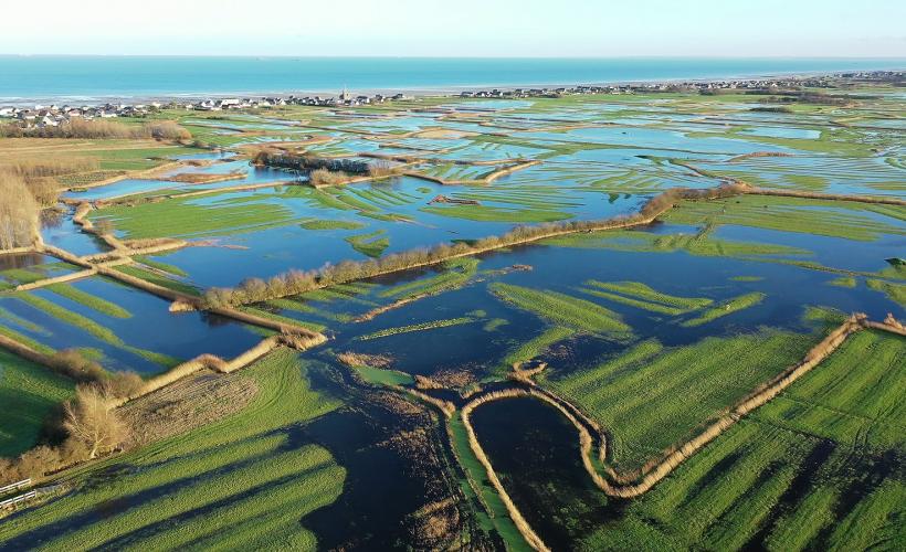 Marais blancs côte est