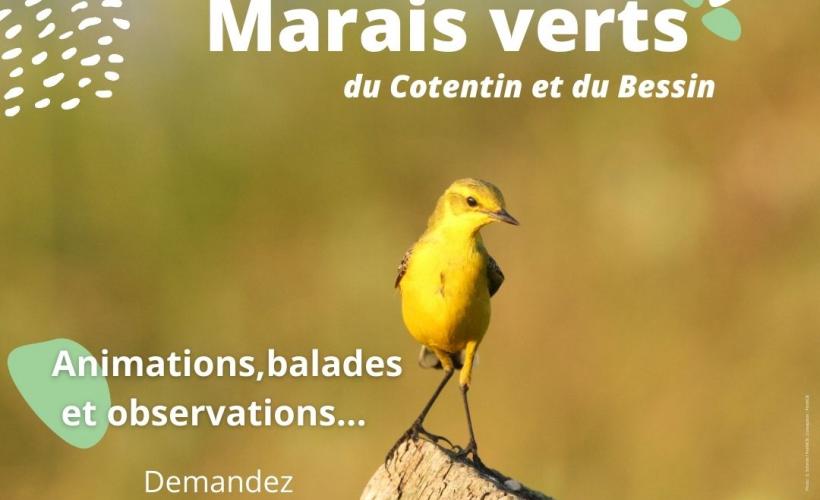 Marais verts printemps 2024
