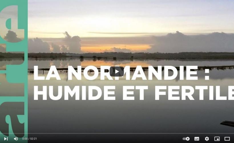 Documentaire ARTE