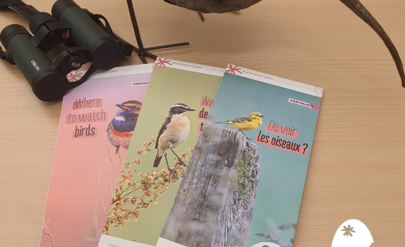 Dépliants "Où voir les oiseaux ?"