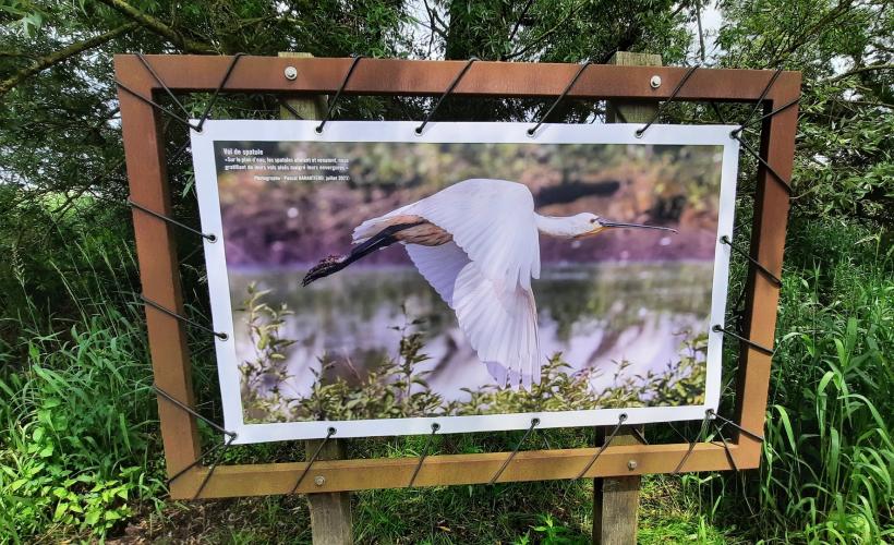 Exposition ENS été 2024