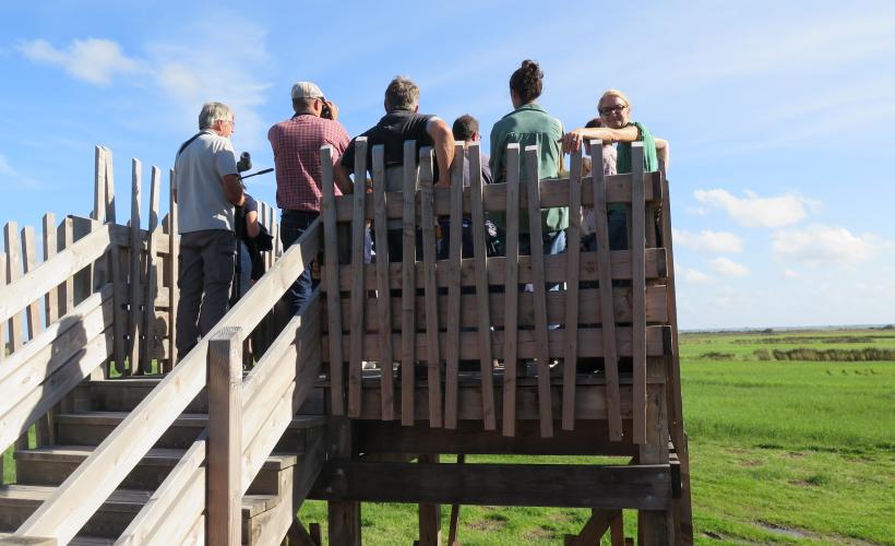 Tour d'observation à la Réserve naturelle nationale du domaine de Beauguillot
