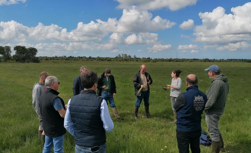 Formation faune et flore des marais sur la Douve