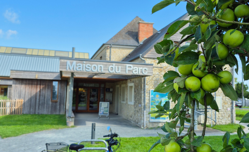 Tarif bas carbone MDP