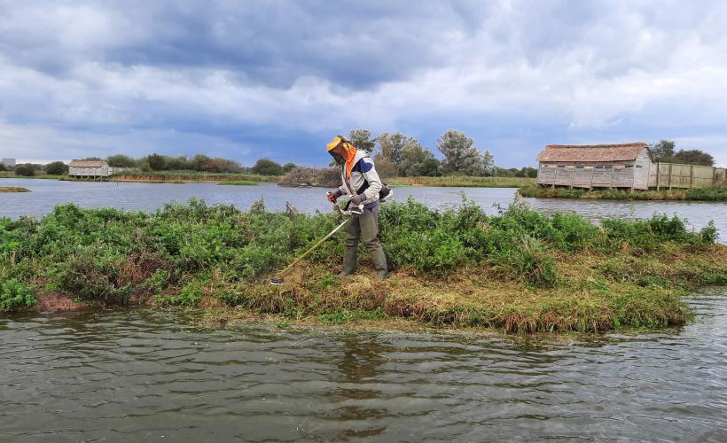 Entretien plan d'eau - ENS des Ponts d'Eau - A.Hérouard - PnrMCB