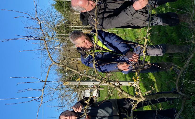 Demo taille St Fiacre  - C de Maupeou