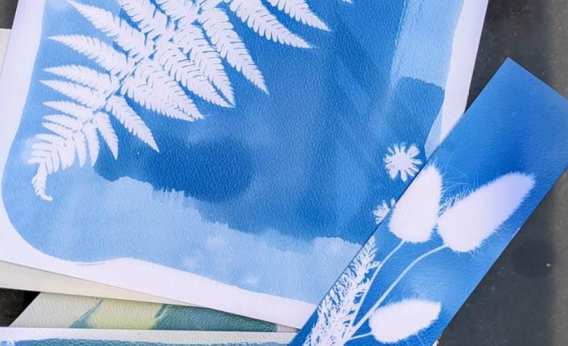 Cyanotype - CD50