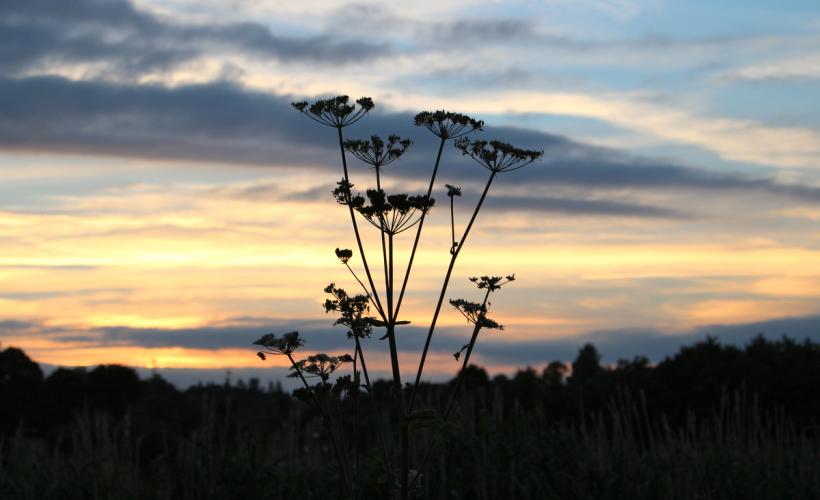 RNNSA_CREPUSCULE©E_BOUILLON - E_BOUILLON