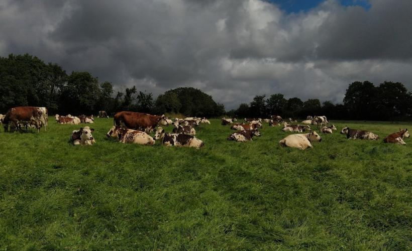  - Ferme de la Platière