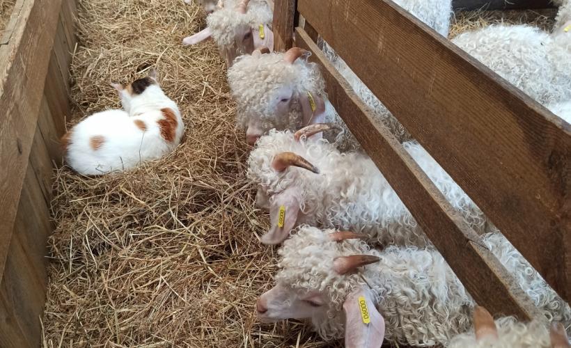 IMG_20250720_131320(1)