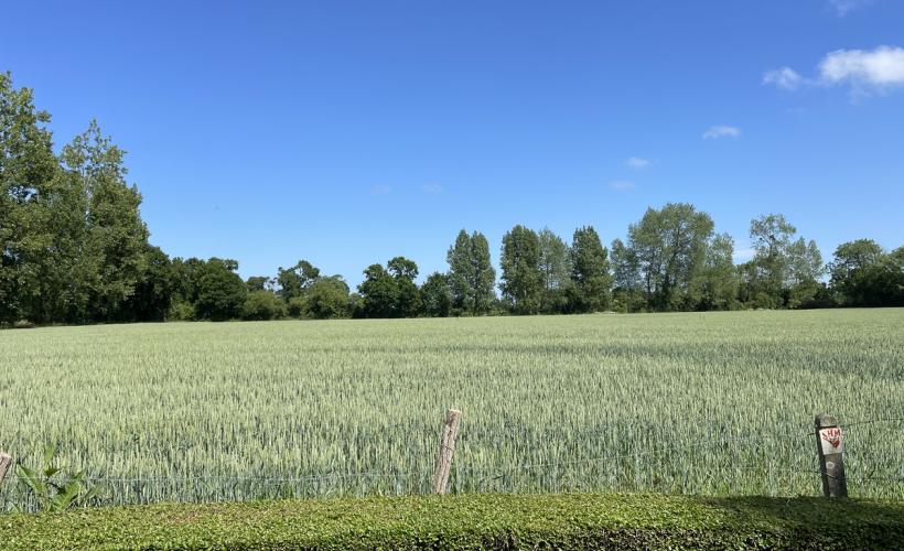 Champs Airfield A8 - PICAUVILLE