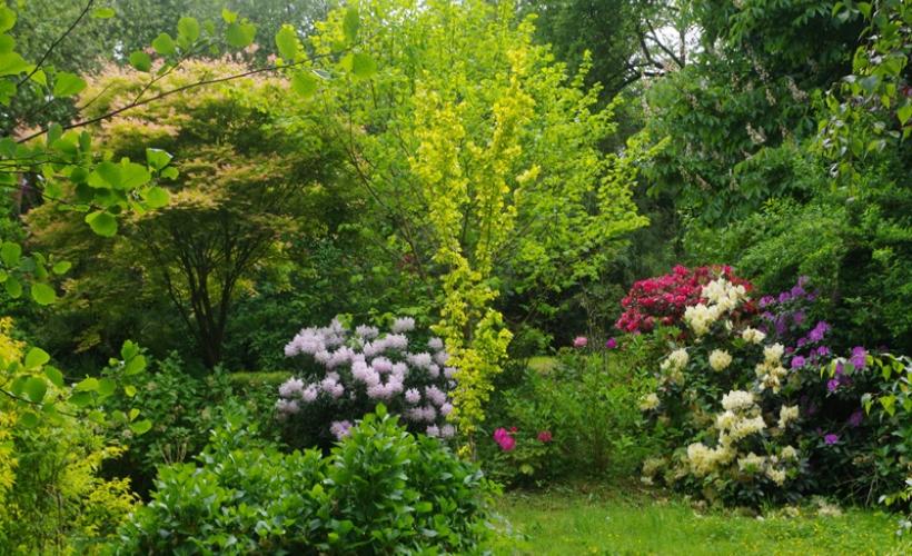 rampan-jardin-le-pre-du-moulin-7