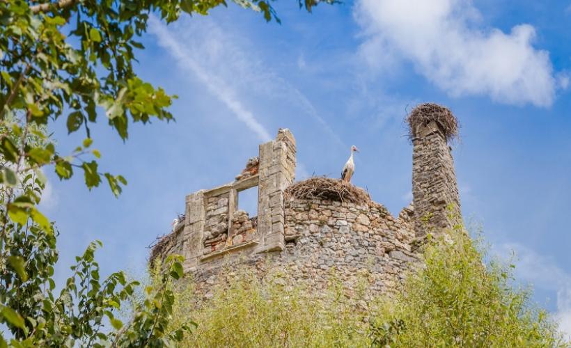 Château de Saint-Fromond 2