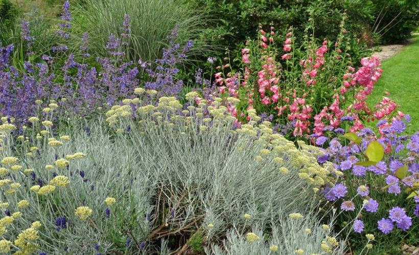 beuzeville-la-bastille-jardin-du-bord-de-douve-1