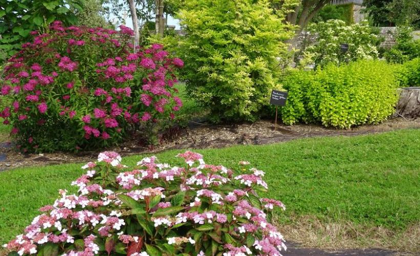 beuzeville-la-bastille-jardin-du-bord-de-douve-2