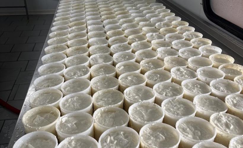 ChevrerieHuberdiere_LiesvilleSurDouve