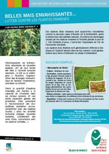 Belles mais envahissantes, lutter contre les plantes invasives - Fiche pratique n°04 - PnrMCB
