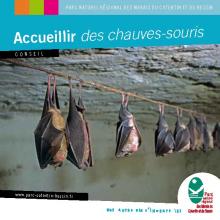 Accueillir des chauves-souris