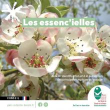 Les essenc’ielles, aide à l’identification et à la plantation des principales espèces du bocage
