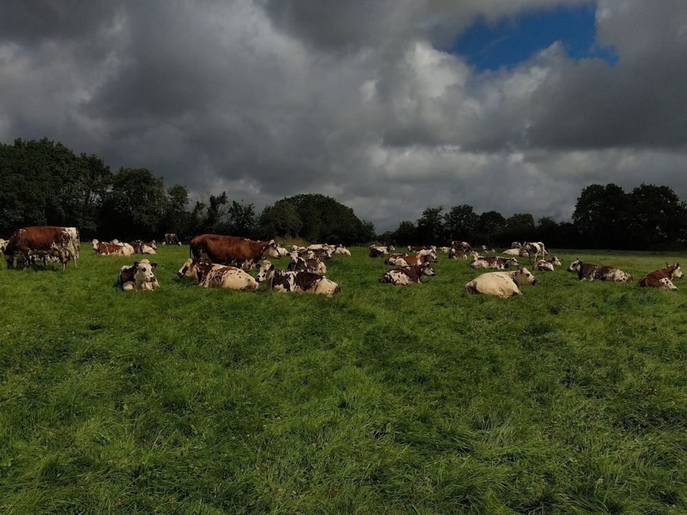  - Ferme de la Platière