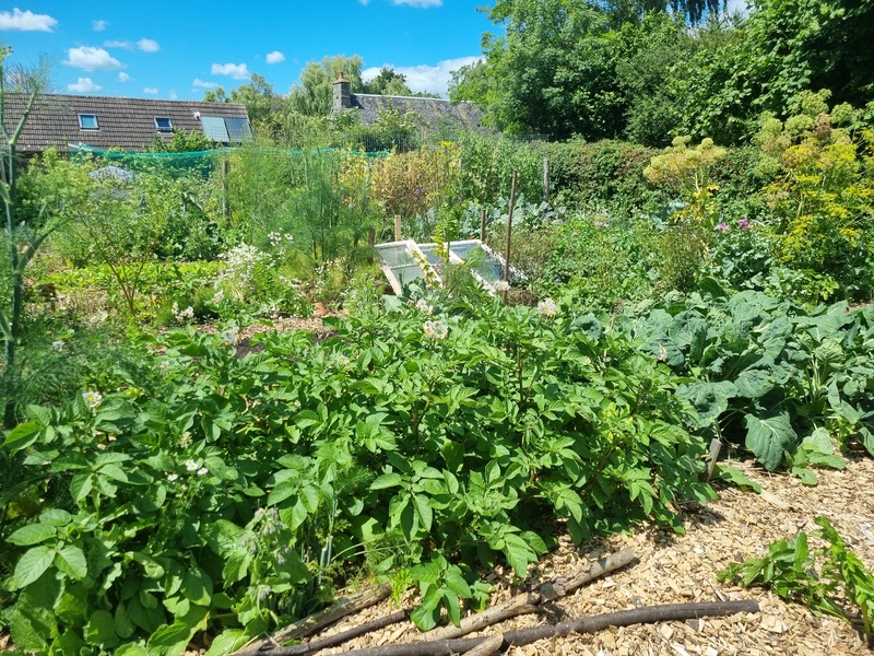 Jardin Amfreville 2022 ©OTBDC