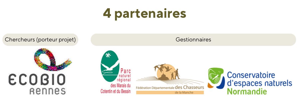 Les 4 partenaires