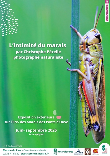 Expo ENS 2025