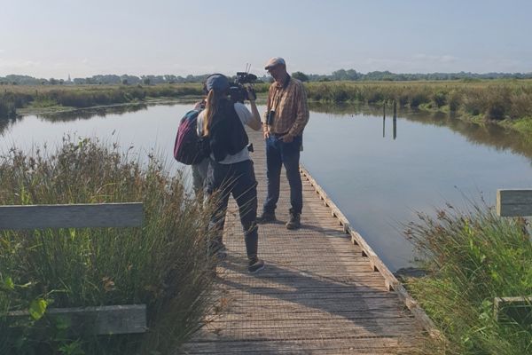 N. Fillol, mare, tournage climate school / E. Patte-Pnr des Marais du Cotentin et du Bessin