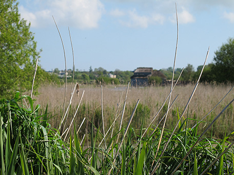 Grand observatoire - ENS des Ponts d'Ouve - PnrMCB