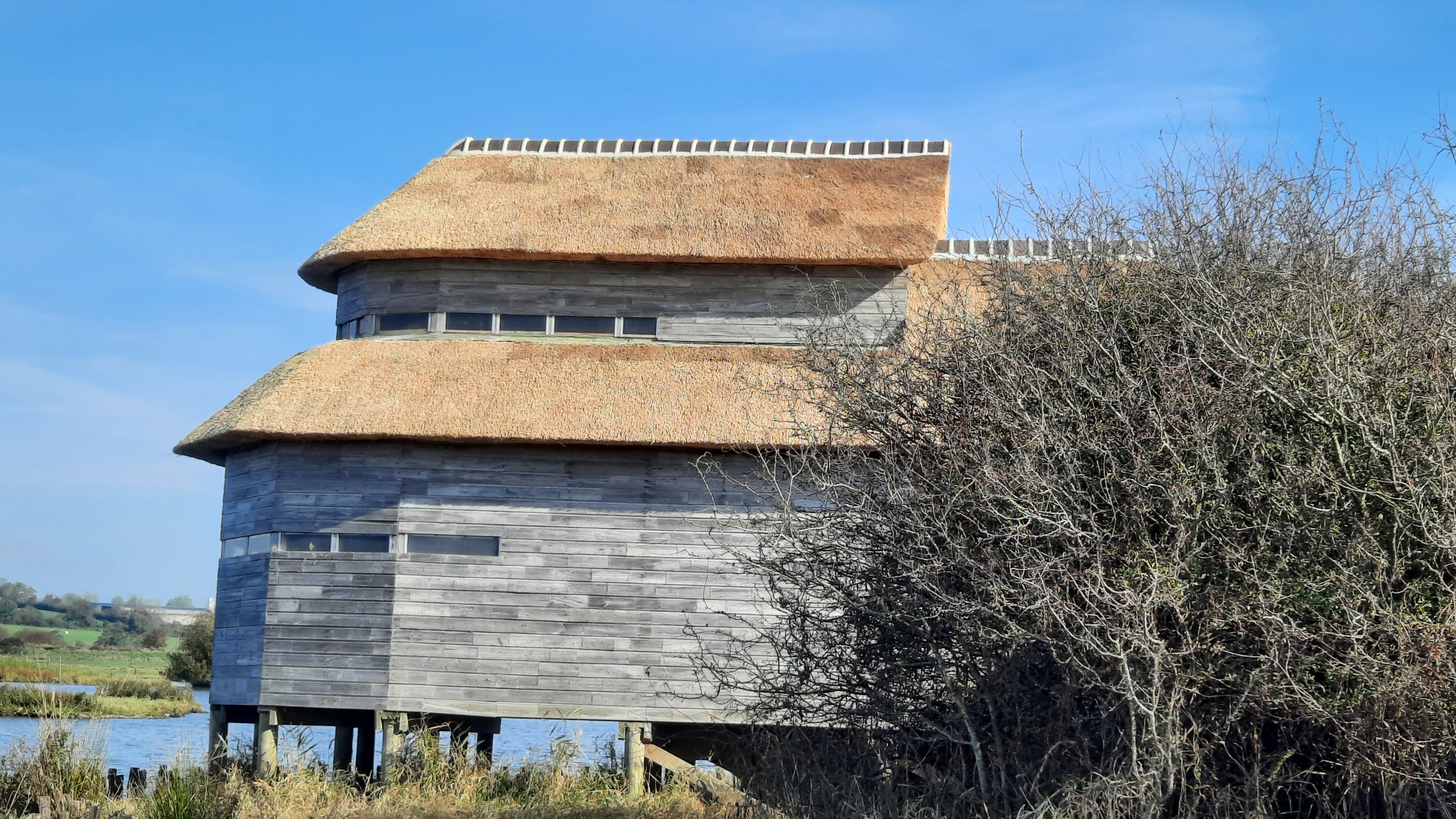 Couverture chaume grand observatoire - ENS Marais des POnts d'Ouve PnrMCB