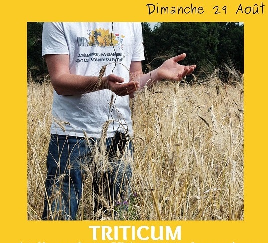 Tricticum 3