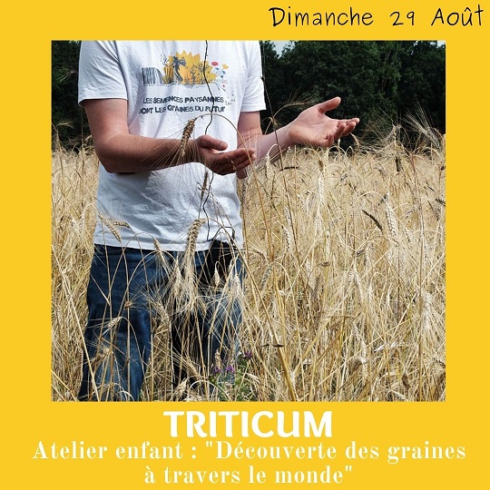 Tricticum 1