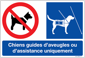 sauf chiens guides