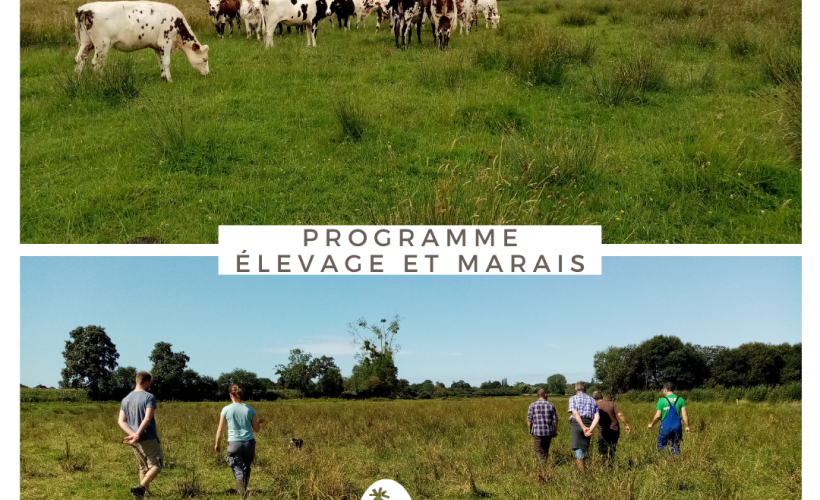 Programme "Élevage & Marais"