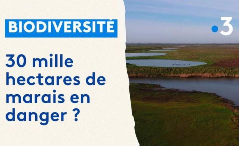 Marais du Cotentin et du Bessin et changement climatique sur France 3 Normandie