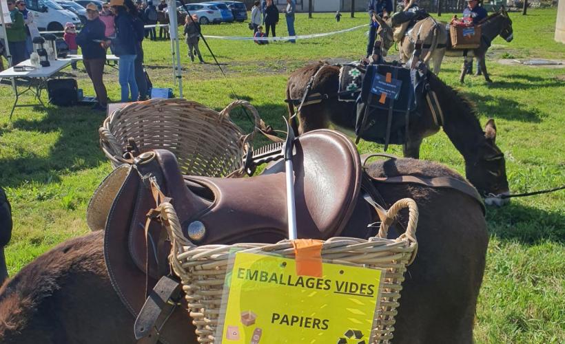Ramassage en baie des veys 2024 ane normand