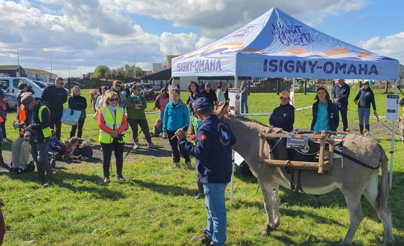 Ramassage en baie des veys 2024 ane du Cotentin