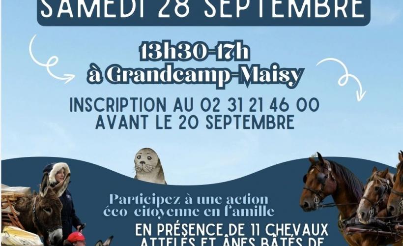 Ramassage en baie des veys 2024 affiche