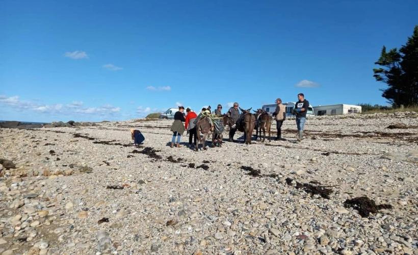 Ramassage en baie des veys 2024