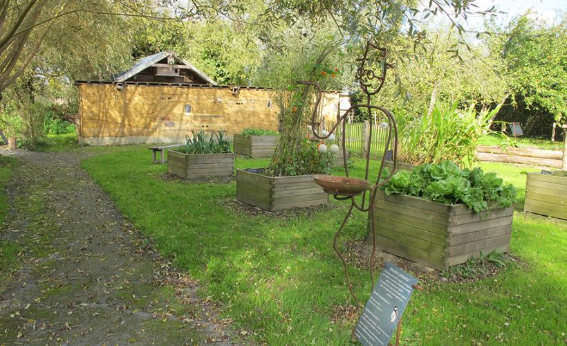 Le jardin des têtards - ENS - Maison du Parc - Carentan-les-Marais
