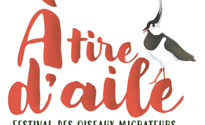 A tire d'aile - Festival des oiseaux migrateurs - PnrMCB