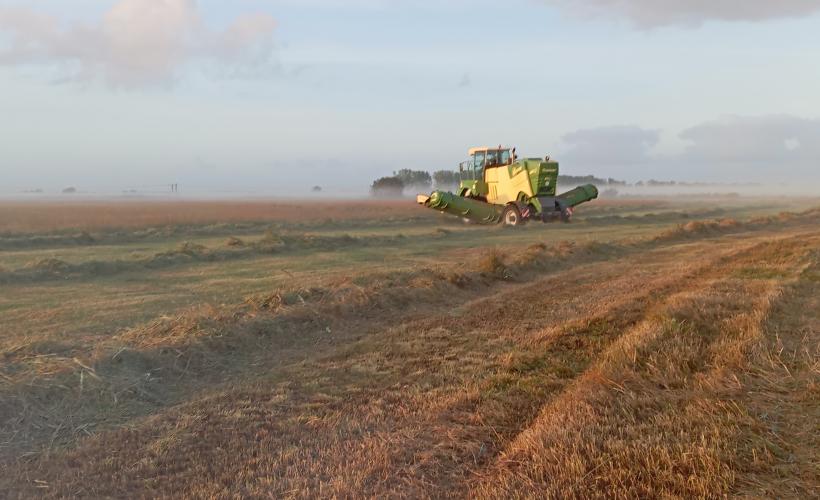 Fauche de casier sur la RNN Sangsurière