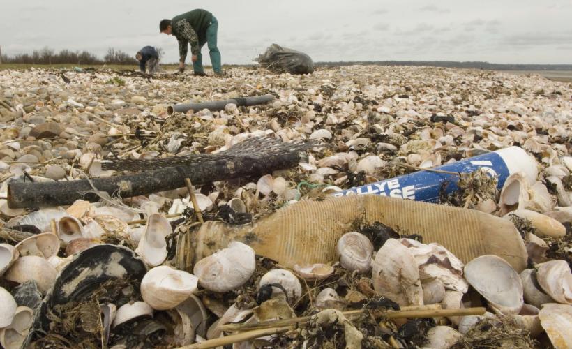 Ramassage de macro-déchets sur la plage