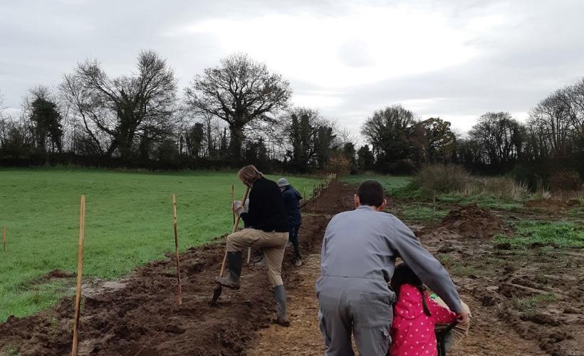 Hémévez, plantation de haie, 2021