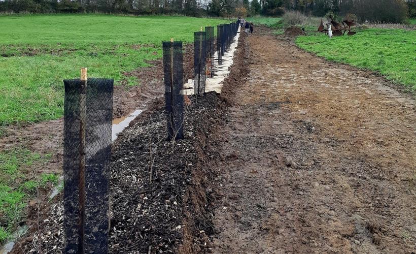 Hémévez, plantation de haie, ma commune en transition 2021