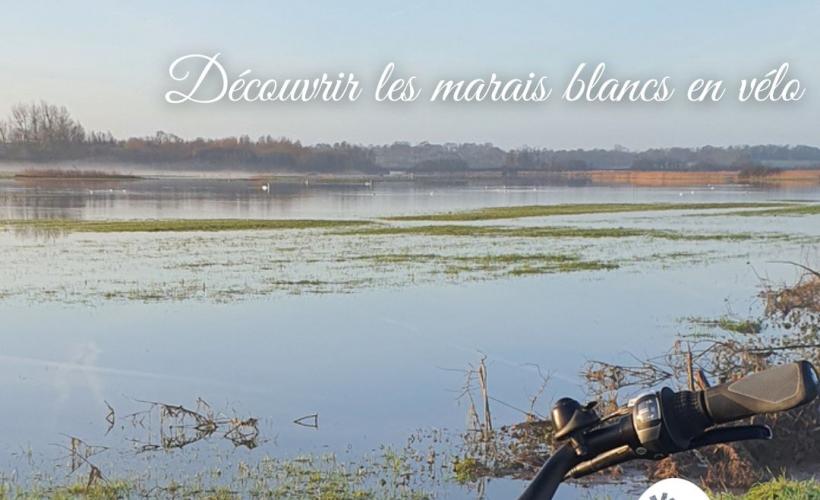 Marais blancs à vélo