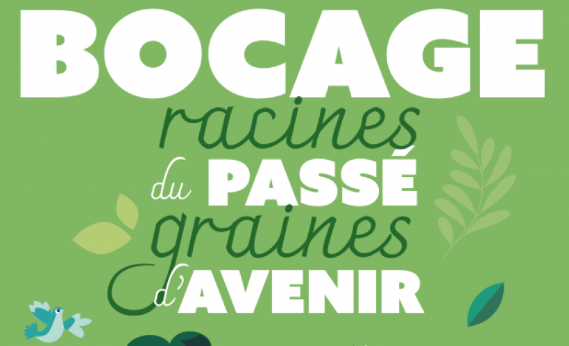 Visuel Bocage, racines du passé, graines d'avenir