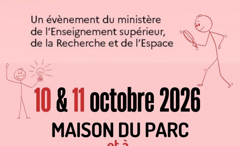FDS 2026 MDP