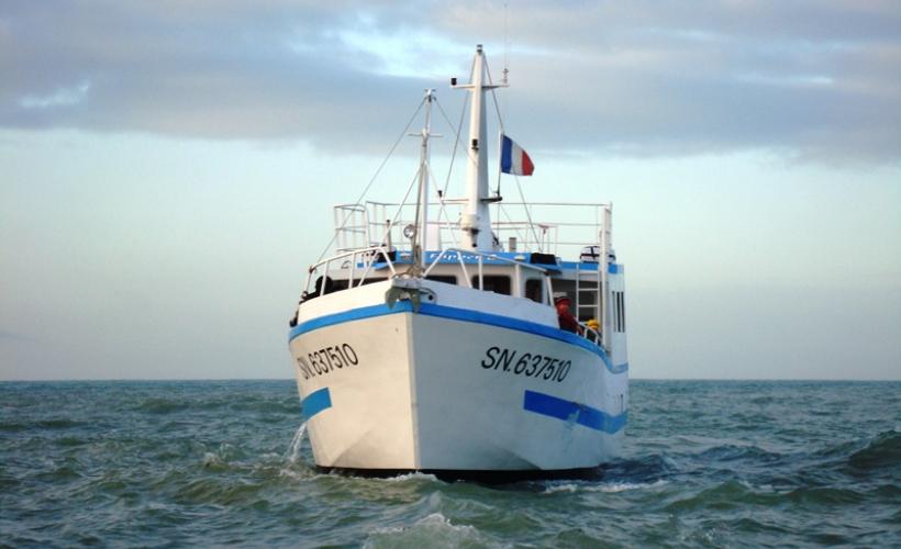 Flipper II, sorties en mer Iles St Marcouf