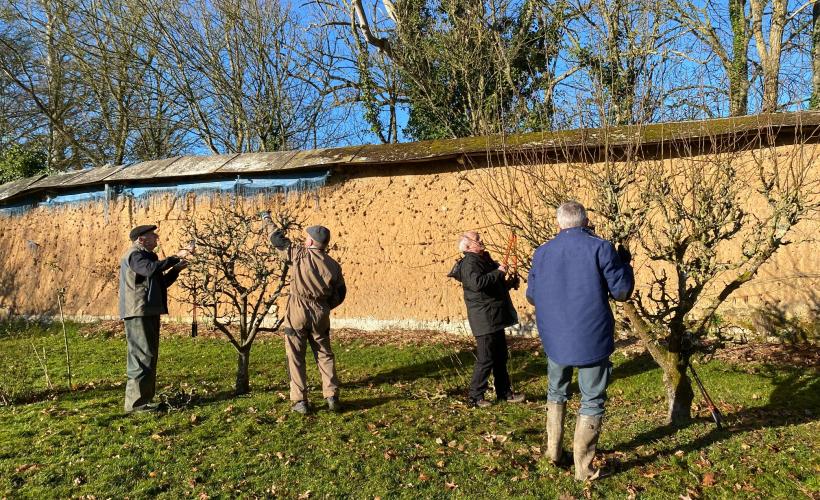 Demo Taille St Fiacre 2022 Basse tige - C de Maupeou